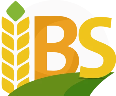 IBS Export Logo